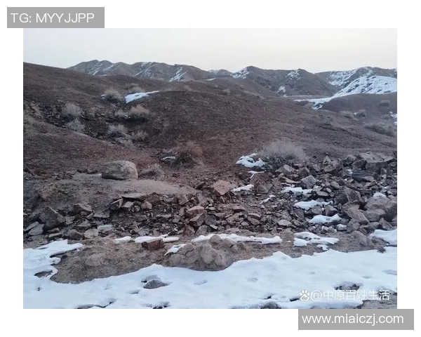 探索奥蓬达的魅力与神秘，揭开这片土地的历史与文化面纱