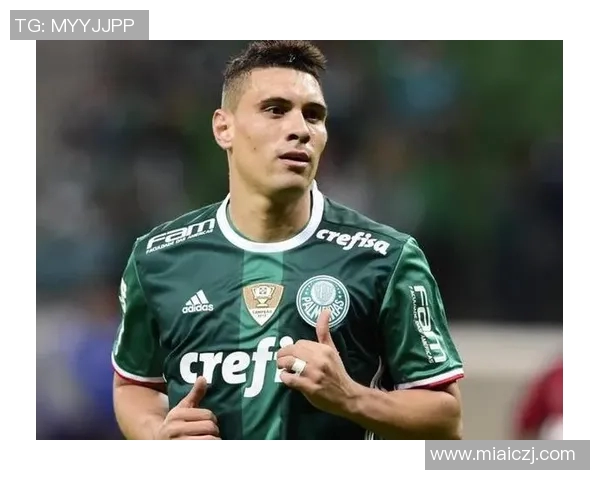 博卡青年与帕尔梅拉斯激战在即谁将赢得南美洲足球巅峰对决